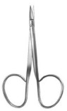 Dissecting Scissors