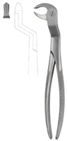 Tooth Forceps for Lower Molars & wisdom Teeth