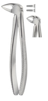 Tooth Forceps for Lower Roots Separating Forceps